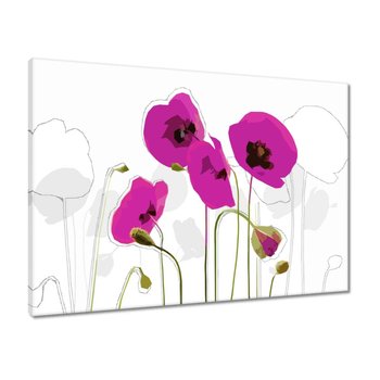 Obraz 70x50 Fioletowe maki Kwiaty - ZeSmakiem