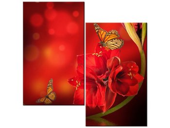 Obraz Amarylis i motyle, 2 elementy, 60x60 cm - Oobrazy