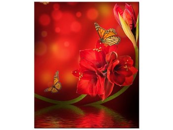 Obraz Amarylis i motyle, 50x60 cm - Oobrazy