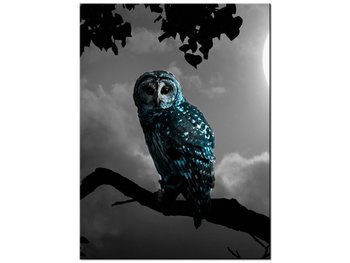 Obraz Błękitna sowa, 30x40 cm - Oobrazy