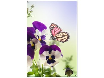 Obraz Bratki i motylki, 20x30 cm - Oobrazy