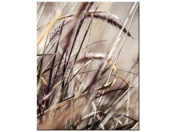 Obraz Buszujący w trawie-Nina Matthews, 40x50 cm - Oobrazy