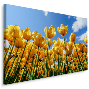 Obraz Canvas Do Jadalni ŻÓŁTE Tulipany Pole Natura Dekoracja 3D 30cm x 20cm - Muralo