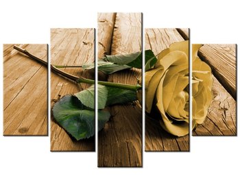 Obraz, Ciekawa róża, 5 elementów, 150x100 cm - Oobrazy