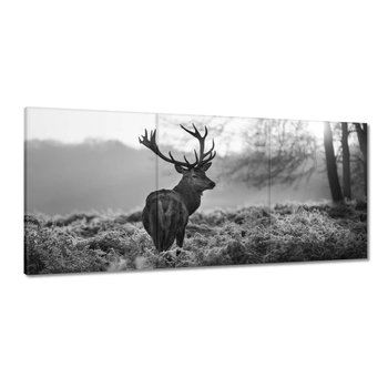 Obraz Czarno-biały jeleń, 150x70cm - ZeSmakiem