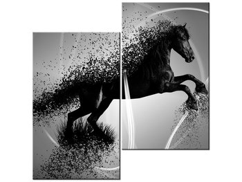 Obraz Czarno biały koń fragmentaryzacja - Jakub Banaś, 2 elementy, 60x60 cm - Oobrazy