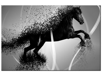 Obraz Czarno biały koń fragmentaryzacja - Jakub Banaś, 30x20 cm - Oobrazy
