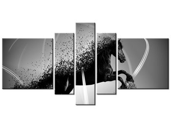 Obraz Czarno biały koń fragmentaryzacja - Jakub Banaś, 5 elementów, 160x80 cm - Oobrazy
