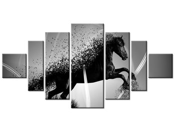 Obraz Czarno biały koń fragmentaryzacja - Jakub Banaś, 7 elementów, 200x100 cm - Oobrazy