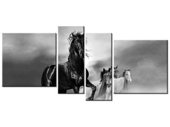 Obraz Czarny koń, 4 elementy, 120x55 cm - Oobrazy