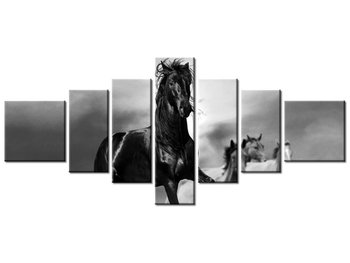 Obraz Czarny koń, 7 elementów, 160x70 cm - Oobrazy