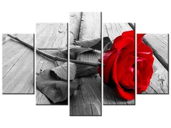Obraz, Czerwona róża, 5 elementów, 100x63 cm - Oobrazy