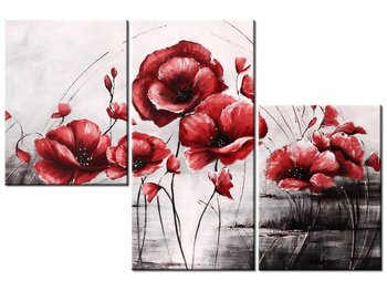 Obraz Czerwone Maki, 3 elementy, 90x60 cm - Oobrazy