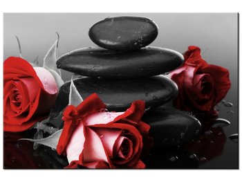 Obraz Czerwone róże, 30x20 cm - Oobrazy