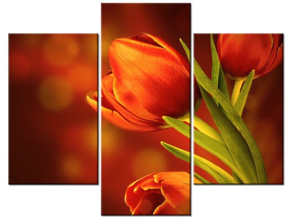 Obraz Czerwone Tulipany 3 Elementy 90x70 Cm Oobrazy Sklep Empikcom 8260