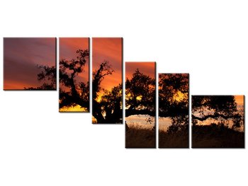 Obraz Dąb w zachodzącym słońcu - Don McCullough, 6 elementów, 220x100 cm - Oobrazy