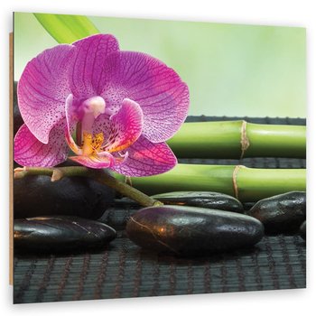 Obraz Deco Panel, Orchidea na czarnych kamieniach (Rozmiar 60x60) - Feeby