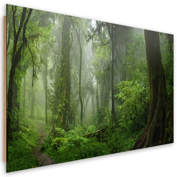 Obraz Deco Panel, Tropikalny las dżungla (Rozmiar 90x60) - Feeby