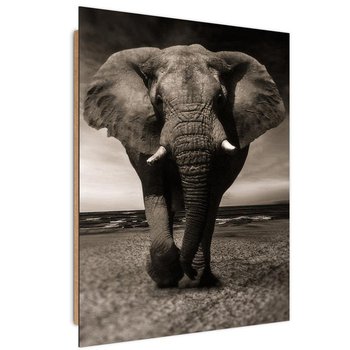 Obraz dekoracyjny FEEBY, Afryka Słoń Czarno Biały 70x100 - Feeby