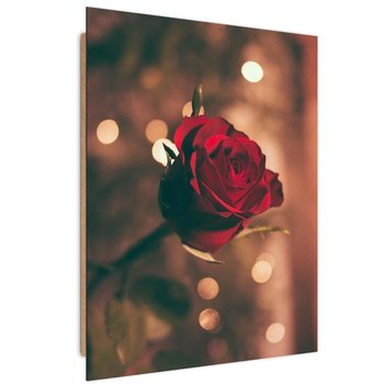 Obraz dekoracyjny FEEBY, Czerwona Róża Kwiat Natura 40x60 - Caro