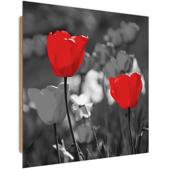 Obraz dekoracyjny FEEBY, Czerwone Tulipany Kwiaty 60x60 - Caro