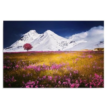 Obraz dekoracyjny FEEBY, Krajobraz górski natura 50x40 - Caro