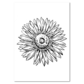 Obraz dekoracyjny FEEBY, Kwiat Czarno Biały Szkic 60x80 - Caro
