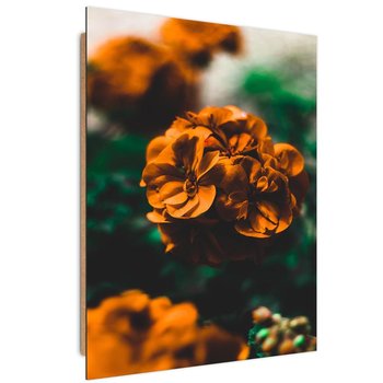 Obraz dekoracyjny FEEBY, Kwiat Pomarańczowy Roślina 40x60 - Caro