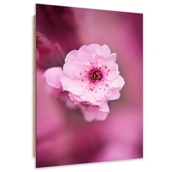 Obraz dekoracyjny FEEBY, Kwiat Wiśni Różowy Natura 80x120 - Feeby