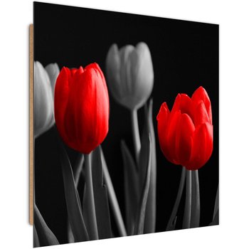 Obraz dekoracyjny FEEBY, Kwiaty Tulipany Czerwony Szary 60x60 - Caro