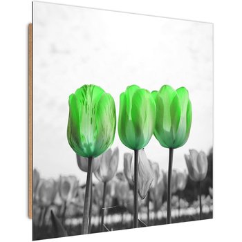 Obraz dekoracyjny FEEBY, Kwiaty Zielone Tulipany 60x60 - Caro