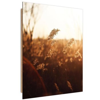 Obraz dekoracyjny FEEBY, Łąka Słońce Natura Beżowy 60x90 - Caro