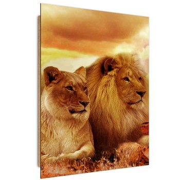 Obraz dekoracyjny FEEBY, Lwy Zwierzęta Afryka 80x120 - Feeby