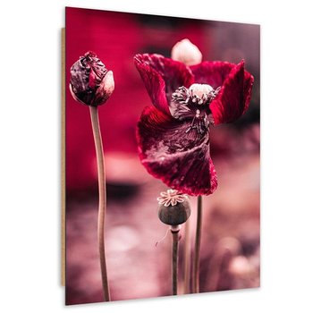 Obraz dekoracyjny FEEBY, Maki Czerwone Kwiaty 40x60 - Feeby