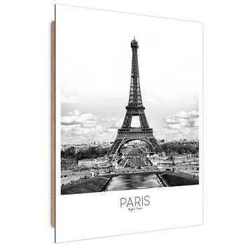 Obraz dekoracyjny FEEBY, Miasto Paryż Wieża Eiffla 60x90 - Caro