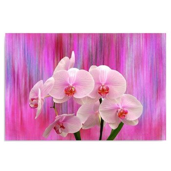 Obraz dekoracyjny FEEBY, Orchidea Storczyk Różowy 50x40 - Caro