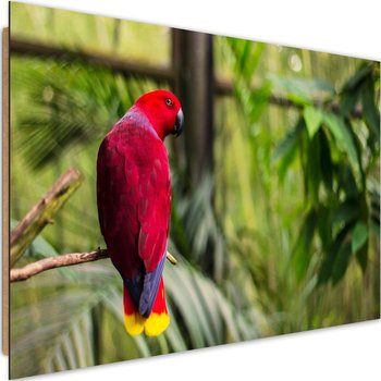 Obraz dekoracyjny FEEBY, Papuga Raj Ptaki Natura 60x40 - Caro