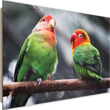 Obraz dekoracyjny FEEBY, Papugi Kolorowe Ptaki 60x40 - Caro