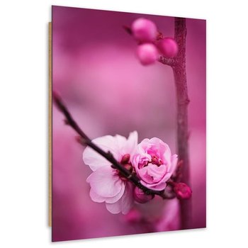 Obraz dekoracyjny FEEBY, Różowy Kwiat jabłoni 60x80 - Feeby