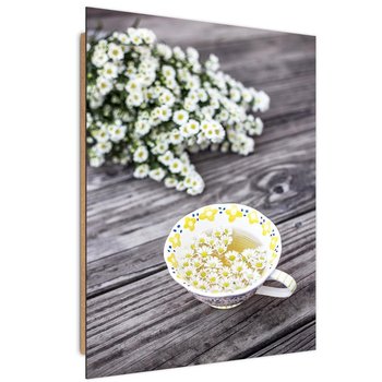 Obraz dekoracyjny FEEBY, Rumianek Roślina Herbata 40x60 - Caro