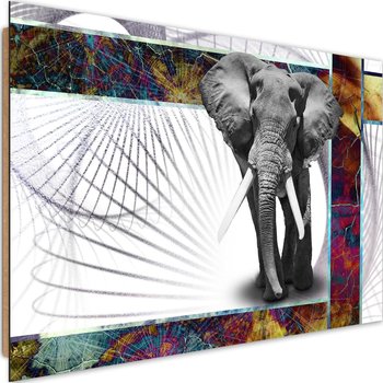 Obraz dekoracyjny FEEBY, Słoń Zwierzęta 60x40 - Caro