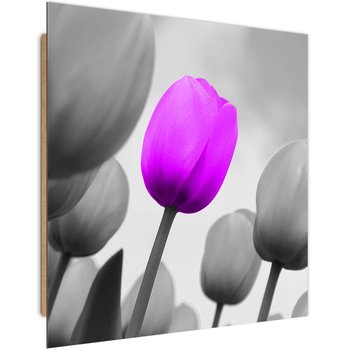 Obraz dekoracyjny FEEBY, Tulipan Fioletowy Szary 80x80 - Caro