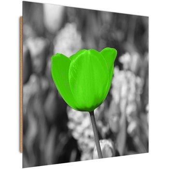 Obraz dekoracyjny FEEBY, Tulipan kwiat 50x50 - Caro
