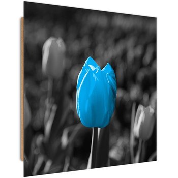 Obraz dekoracyjny FEEBY, Tulipan Kwiat Niebieski Szary 60x60 - Caro