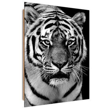 Obraz dekoracyjny FEEBY, Tygrys Afryka Czarno Biały 20x30 - Feeby