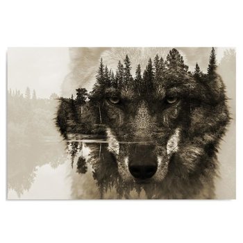 Obraz dekoracyjny FEEBY, Wilk na tle lasu - brązowy 50x40 - Caro