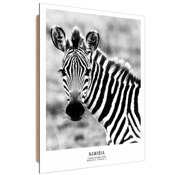 Obraz dekoracyjny FEEBY, Zebra Zwierzęta Natura 60x90 - Caro