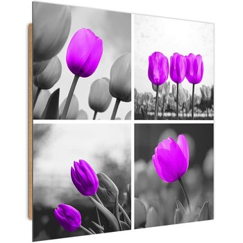 Obraz dekoracyjny FEEBY, Zestaw Tulipany Fioletowy 80x80 - Caro