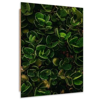 Obraz dekoracyjny FEEBY, Zielone Liście egzotyczne 70x100 - Feeby