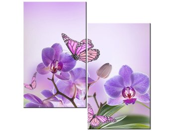 Obraz Delikatna piękność, 2 elementy, 60x60 cm - Oobrazy